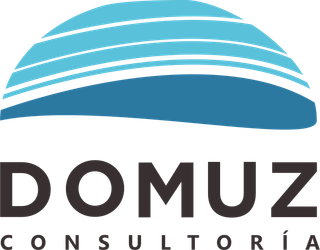 DOMUZ Consultoría